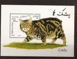 Afghanistan Afghanes 1997 N° BF 79 ** Faune, Chat, De Man, Manx - Afghanistan