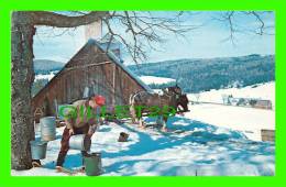 VERMONT, VT - THE MAPLE SUGAR TIME - SUGARING IN VERMONT - - Other & Unclassified