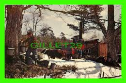 NEW LONDON, NH - MAPLE SUGAR TIME IN NEW ENGLAND - ANIMATED - - Other & Unclassified