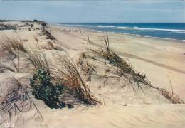 SAINT PIERRE D'OLERON 17, CÔTE D'ARGENT, UNE PLAGE DE L'OCEAN - Saint-Pierre-d'Oleron