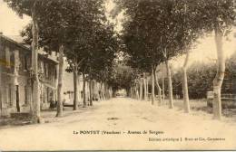 CPA 84  LE PONTET AVENUE DE SORGUES 1911 Peu Frèquente - Le Pontet