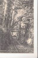 BR37405 Tennyson S Lane Freshwater Isle Of Wight   2 Scans - Andere & Zonder Classificatie