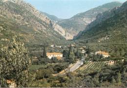 BR31386 Buis Les Baronnies Fontaine D Annibal   2 Scans - Buis-les-Baronnies