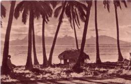 Océanie : Paysage Tahitien - Andere & Zonder Classificatie