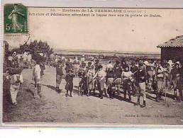 17 Environs De LA TREMBLADE ( Charente Mar ) - Pêcheurs Et Pêcheuses Attendant La Basse Mer Sur La Pointe De Daire - La Tremblade