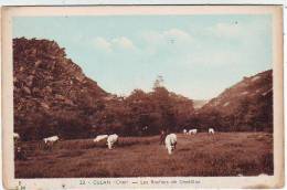 18. CULAN. LES ROCHERS DE CHATELUS . VACHES .  Editeur E. MAQUAIRE - Culan