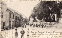 57 GRUSS AUS SAARBURG - Lupinstrasse - Sarrebourg