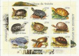 H.B  **   ANIMALES     TORTUGAS - Tortues