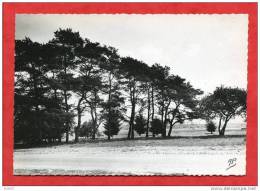 * MOISSON-En Lisière De La Forêt - Bonnieres Sur Seine