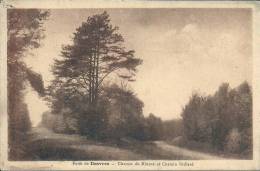 NORD PAS DE CALAIS - 62 - DESVRES - Forêt De Desvres - Chemin Du Minerai Et Chemin Brillard - Couleur Sépia - Desvres