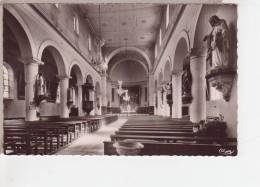 88.042/ CHATENOIS - Intérieur De L'église - Cpsm - Chatenois