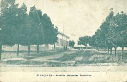 PORTUGAL - ALCAÇOVAS - AVENIDA ALEXANDRE HERCULANO - 1915 PC - Evora