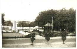 PORTUGAL - BORBA - PARQUE - 1950 REAL PHOTO PC - Evora