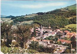 64. Cpsm. Gf. ST-ETIENNE-DE-BAIGORRY. Vue Générale. 981 - Saint Etienne De Baigorry