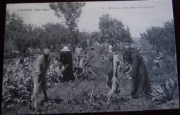 CARTOLINA-COLONIA ETIOPIA - MISSIONARIA- 1910 CIRCA- BAMBINI NELLA MISIONE NEL ORTO - Äthiopien
