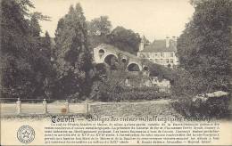 COUVIN - Vestiges Des Ruines Métallurgiques D' Anonay - Couvin