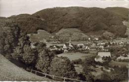 CPSM GLOTTERTAL (Allemagne-Bade Wurtemberg) - Vue Générale - Glottertal