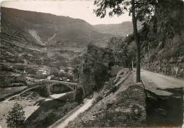 SAINT CHELY DU TARN LE VILLAGE - Sonstige & Ohne Zuordnung