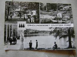 Colditz - Colditzer Forst     D82715 - Colditz