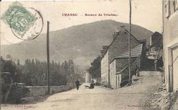 Lozère- Chanac -Avenue Du Triadou. - Chanac