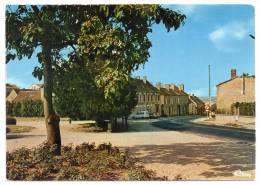 Neuvy-Sautour, Route De Saint-Florentin, C.I.M. E 82276 176.0455, Automobiles, Renault 4L - Neuvy Sautour