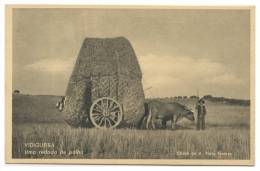 VIDIGUEIRA - CARROS DE BOIS  -Uma Redada De Palha Carte Postale - Beja