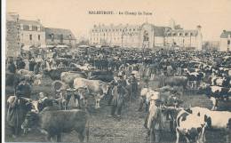 MALESTROIT - Le Champ De Foire - Malestroit