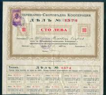 6K151 Share Action Aktie  100 Lv. SOFIA 1934 Animal Cattle Cooperative REVENUE Bulgaria Bulgarie Bulgarien Bulgarije - Industrie