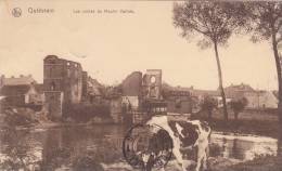 Quievrain Les Ruines Du Moulin Vallois - Quiévrain