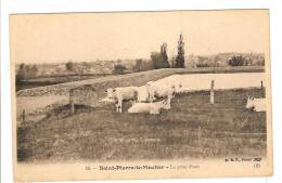 SAINT PIERRE LE MOUTIER - NIEVRE - LA PRISE D'EAU - VACHES - Saint Pierre Le Moutier