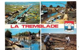 BR31987  La Tremblade    2 Scans - La Tremblade