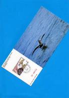 Carte (Petrel Géant De Kerguelen) - Covers & Documents