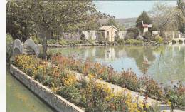 BR30811 Ambleside Water Gardens Weare Axbridge      2 Scans - Ambleside