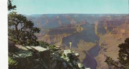 BR30825 At Pima Point    Grand Canyon National    2 Scans - Grand Canyon