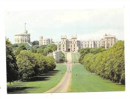 Cp, Angleterre, Winsor Castle, The Long Walk Showing Part Or The Tree-Lined..., écrite - Windsor Castle