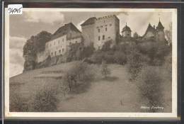 SCHLOSS LENZBURG - TB  ( PAPIER VERT COLLE AU DOS ) - Lenzburg