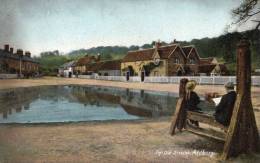 Aldbury The Old Stocks 1905 Postcard - Hertfordshire