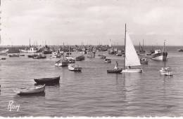 ¤¤  -  179   -  ILE De NOIRMOUTIER   -  L'Herbaudière   -  Le Port  -  Bateaux De Pêche , Voiliers    -  ¤¤ - Ile De Noirmoutier