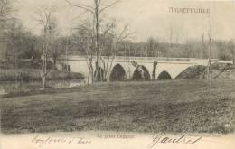 44 AIGREFEUILLE LE PONT DIDEROT - Aigrefeuille-sur-Maine