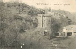 44 AIGREFEUILLE LE MOULIN DES EPINETTES - Aigrefeuille-sur-Maine