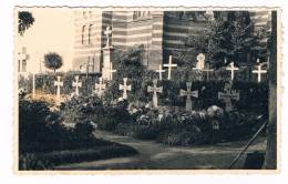 D3172     KÖNIGHOVEN : Friedhof Mit Graben Von Gefallene Soldaten ( 1944) (RPPC)( Kerkhof, Cimertery) - Euskirchen