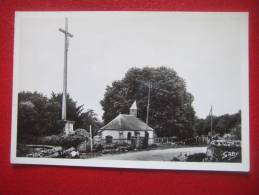 44 - AIGREFEUILLE SUR MAINE - LA CHAPELLE SAINT SAUVEUR - - Aigrefeuille-sur-Maine