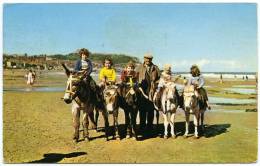 SCARBOROUGH : DONKEYS ON THE SAND / POSTAGE SLOGAN - FILEY / ADDRESS - NEATH, CIMLA, HOSPITAL COTTAGE - Scarborough