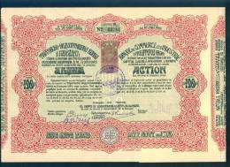 6K193 Share Action Aktie 100 Lv Gold PLOVDIV 1916 INDUSTRIAL BANK COMMERCE Revenue Bulgaria Bulgarie Bulgarien Bulgarije - Banco & Caja De Ahorros