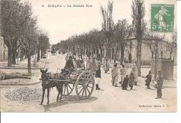 La Grande Rue - Djelfa