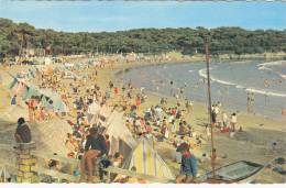 17 - Vaux Sur Mer - La Plage De Nauzan - Editeur: Berjaud N° 201 - Vaux-sur-Mer