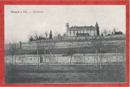 68 - RUFACH - ROUFFACH - Schloss  Isenburg - Chateau - Vignes - Rouffach