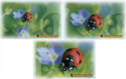 CROATIA - Ladybug - Set Of 3 Cards - 2000 - Marienkäfer