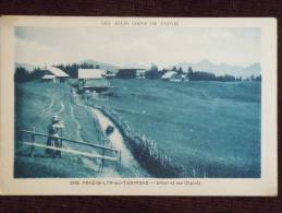 Praz-de-Lys-sur-Taninges ; Hotel Et Les Chalets - Taninges