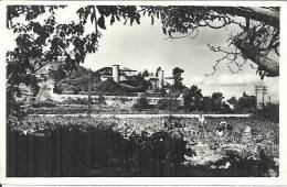 27. LES LECQUES SUR MER. VENDANGES AU CHATEAU DES BEAUMELLES. - Les Lecques